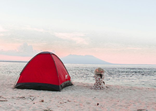 Comment choisir un emplacement de camping pour observer les animaux marins dans les criques?